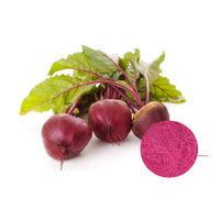 Poudre de betterave de haute qualité, matière première pour le blush et le rouge à lèvres