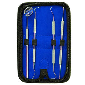 CUSTOM ODM OEM WHOLESALE 4 Pcs Stainless Steel Dental <b>Cleaner</b> Dentist <b>Tools</b> for <b>Tooth</b> Cleaning Care with Case 2026 HOT SELL - Product Image 1