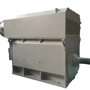 電気モーター300kw-5000kw AC