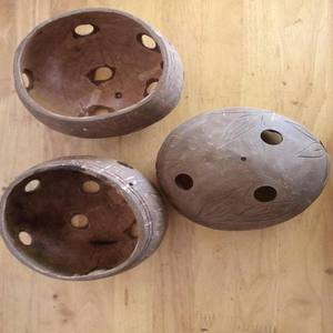 Vente en gros pot de fleur de coquille de noix de coco écologique/pot de coquille de noix de coco du Vietnam fabrique - Product Image 5