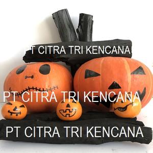 USA BBQ CHARCOAL GRILL HARD WOOD BBQ BARBECUE CHARCOAL PAPER CHARCOAL BAGS IN Vila Prudente SAO PAULO - Product Image 5