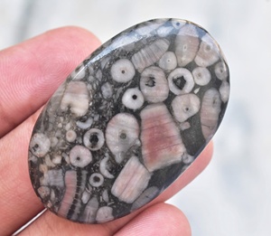 Natural Cindrol Fossil Coral Gemstone Semi Precious Cindrol Fossil Loose Gemstone For Jewelry - Product Image 1