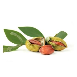 Precio de fábrica de la mejor calidad 100% aceite de jojoba prensado en frío a granel natural puro para la piel de la India - Product Image 1