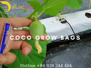 Việt Nam <span class=keywords><strong>Coco</strong></span> Than Bùn Khối <span class=keywords><strong>5kgs</strong></span> <span class=keywords><strong>Coco</strong></span> Than Bùn Giá - Product Image 2