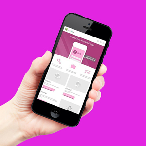 Boox — customisation Mobile, application de test, développement des applications en inde, aide au développement de l'application web sur microprocesseur fosoft - Product Image 3