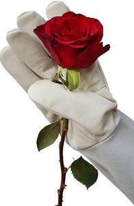 Gray Women's <b>Long</b> Garden <b>Gloves</b> Custom Design Water Thorn Proof Protection Anti-Cut Anti-Slip Flower Pruning Gardening Work - Product Image 3