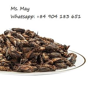 Grillo de frozen seco de alta proteína, 100% orgánico, MS May + 84 904183651 - Product Image 2