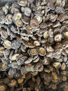 Champignon Shiitake séché de qualité supérieure/champignon séché/champignon Shiitake pour l'exportation Mme Lily + 84 906927736 - Product Image 4