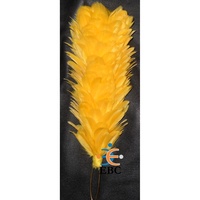 OEM Plume Hackle Plume Fabrique dans toutes les couleurs Palmes Plumes Teintes pour Glengarry Chapeau Balmoral Bonnet Béret Band Cap