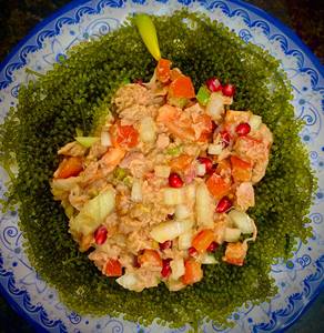 องุ่นลาโต้/ลาโทค/สาหร่ายทะเลองุ่นจากเวียดนามสำหรับการส่งออก/ลูคัส - Product Image 3