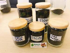 Pimienta Negra de Primera Calidad, Origen Vietnam, Cruda, Seca, Especia Herbal, 50 kg, Certificación HACCP, Phalco JSC - Product Image 4