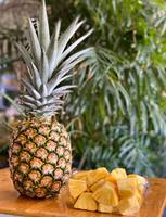 Hoge Kwaliteit Verse Ananas/Ingeblikte Ananas Export Naar Eu, Usa-Groothandel Voor Gedroogde Ananas-Whatsap 0084 989 322 607