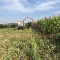 Nouvelle machine à ensilage de maïs agricole Sayginlar à double séquence indépendante, robuste et facile à utiliser, certifiée ISO9001-CE 1