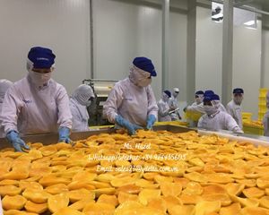 Tranches de fruits de la manga séchées, 100% pièces, transformation de séchage, tranches de fruits à la mode, avec qualité Standard/Ms Ladagel — breloque (84) 974435603 - Product Image 3