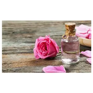 यूनिवर्सल डीलर बेच इष्टतम गुणवत्ता शुद्ध Aromatherapy गुलाब आवश्यक तेल सबसे कम कीमत पर