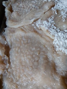 Alta Qualidade SALTED JELLYFISH/ Fresh GELÉIA PEIXE Food Grade Vietnamita <span class=keywords><strong>Seafood</strong></span>