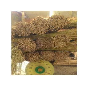 หญ้าไม้กวาด-ปลอดสารพิษมะพร้าวไม้กวาด (Lee: + 84 987731263) - Product Image 6