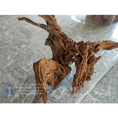 HOT SELLING natural driftwood aquarium for pet shop akvaryum, fish tank decor, lizard tank WhatsApp +84 937 545 579