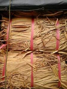 Ventas calientes de vacaciones, Alfombra de jacinto de agua personalizada hecha a mano, producto agrícola - Product Image 3