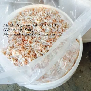 소금 아기 새우입니다 // 베트남의 맛있는 바다 맛보기 // Ms. 리마 + 84 346565938
