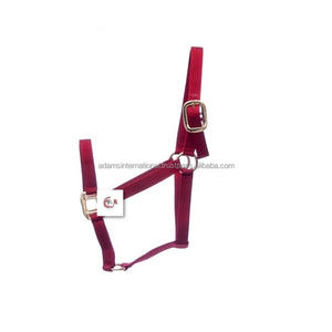Halter hecho de nailon alto, con accesorios de acero inoxidable, completamente ajustables - Product Image 1