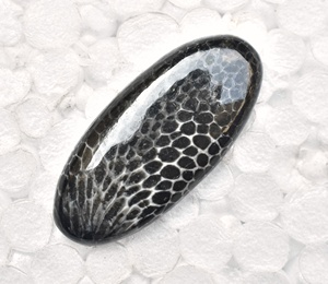 Stingray Coral Cabochon High Quality Black Coral Cabochon Loose Gemstones Stingray Beads Cabochon - Product Image 3