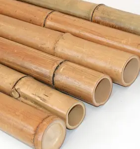Hot deal Vietnam Moso Bamboo Poles Tube Crafts for bamboo building handicraft decoration