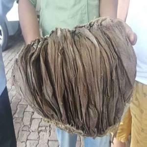 Ombrage au pollen et bœuf salfié, qualité supérieure - Product Image 2