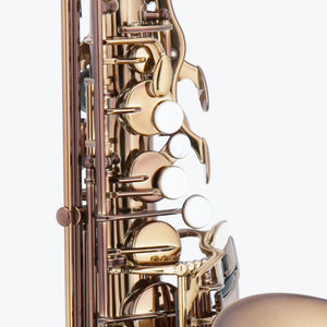 คอนญักเสร็จสิ้นโบราณอัลโตแซกโซโฟนมืออาชีพ - Product Image 3