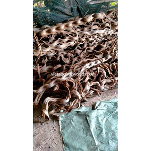 2024 meilleure qualité bois flotté décor d'aquarium racines d'arbre racines torsadées filtre WhatsApp + 84 963 949 178 - Product Image 5