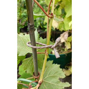 Ataduras de Silicona para Plantas y Árboles de 12 Pulgadas - Product Image 2