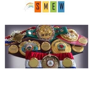 เข็มขัดแชมป์มวยปล้ำของแท้เข็มขัดแชมป์มวย WBC MMA - Product Image 4