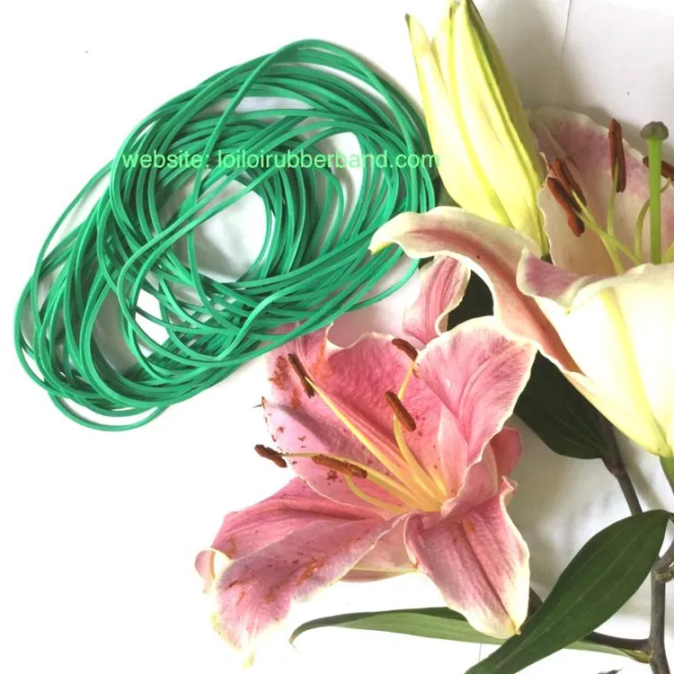 Quality Environmental Protection Natural Green rubber band made from 100% Vietnam Natural rubber high quality