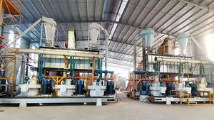 단단한 나무 목제 펠릿 생산 라인 소나무 목제 펠릿 기계를 위한 기계를 만드는 Yulong 펠릿