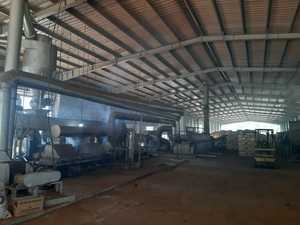 Alto valor calórico Vietnam madera dura aserrín carbón ceniza blanca equivalente patrón hexagonal comparable a Indonesia carbón negro - Product Image 5