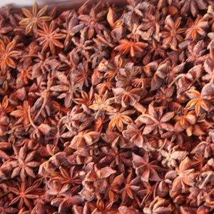 Anís Estrellado Premium de Vietnam en Oferta, Anís Seco Entero Natural, Suministro Directo de Fábrica, Exportación al por Mayor - Product Image 1