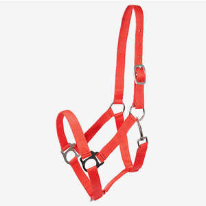 Joxar-caballo ecuestre con cuello Halter - Product Image 4