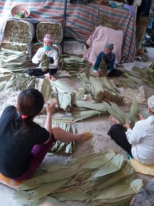 Feuilles de bambou brut, pièces, en bambou brut, écologique, bon prix - Product Image 4