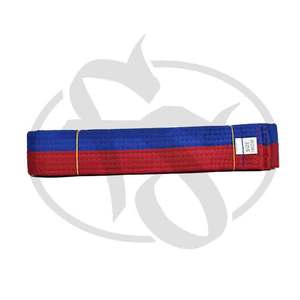 Cinturón personalizado para artes marciales, Karate, Taekwondo, Judo - Product Image 3