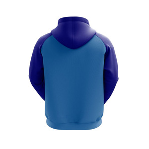 Sweat à capuche sport pour homme de haute qualité, tissu écologique, séchage rapide, coupe classique, décontracté, pour la salle de sport, le jogging, la remise en forme, l'hiver - Product Image 2