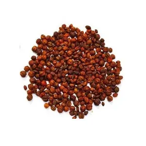 Aceite de semilla de Celastrus Paniculatus orgánico, aceite esencial 100% puro y Natural