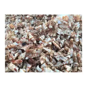 Competitive Price Dried Shrimp Shell from Viet Nam (Ms. Lee: +84987731263)