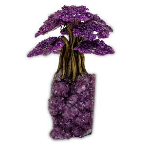 ต้นบอนไซพิเศษสีม่วง Xsmall - Product Image 1