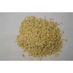 Cucumber Seed / Maghaz Kheera