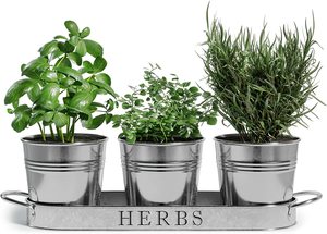 Modern Farmhouse Vintage Galvanized Metal <b>Herb</b> Plant <b>Herb</b> <b>Pot</b> Planter with Tray Customized Galvanized Tray and Planter - Product Image 3
