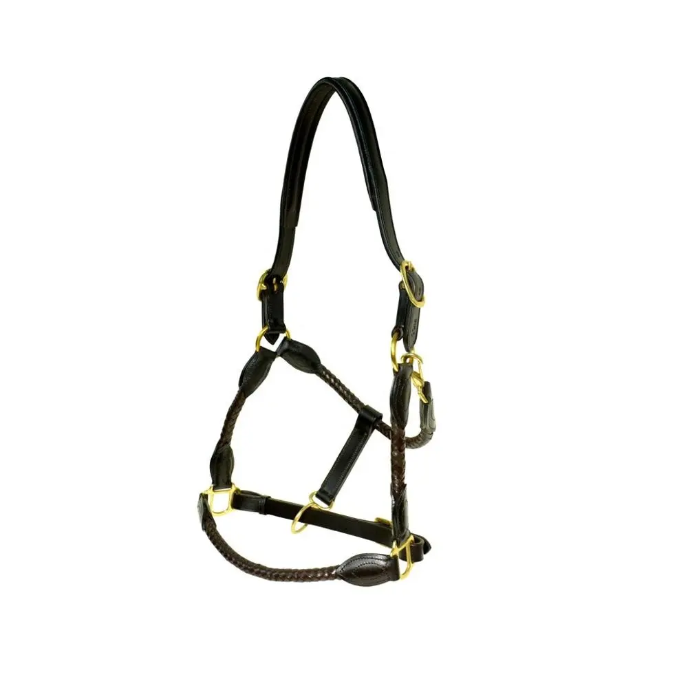 Comfort High Quality Black Leather Horse Halter Suppliers
