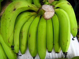 BANANE FRAIS DU VIETNAM AVEC NORME D'EXPORTATION - Product Image 2