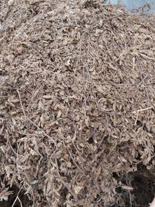 Herbes noires séchées à 100% naturelles, livraison gratuite, bonne qualité du VietNam + 84905010988 - Product Image 3