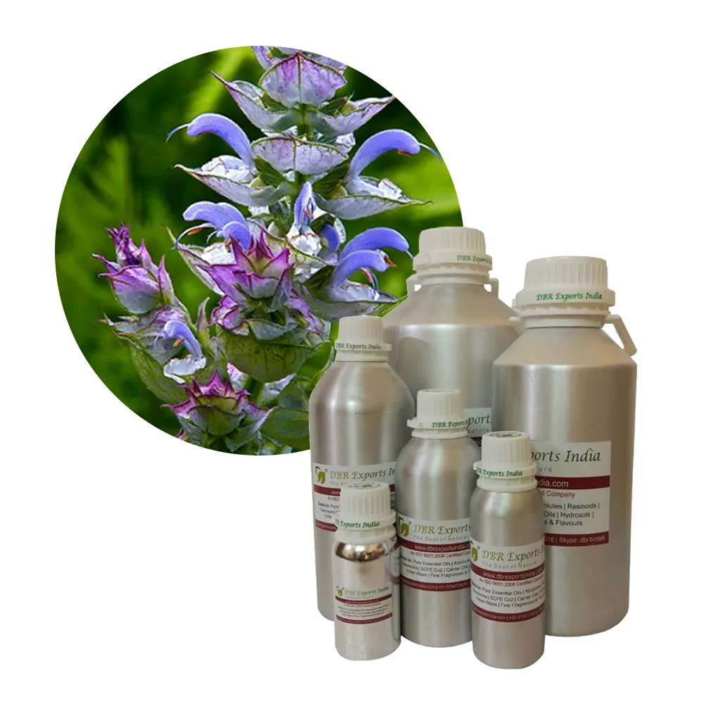 Olio di salvia Clary nome botanico olio di salvia sclarea si mescola bene con bergamotto cederwood camomilla geranio gelsomino lavanda ecc