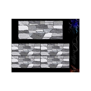 Newly Arrival Porcelain Wall Tiles Digital Ceramic Wall Tiles 250x600mm Rustic Design Acid-Resistant Non-Slip for Hotel Use Bulk - Product Image 2